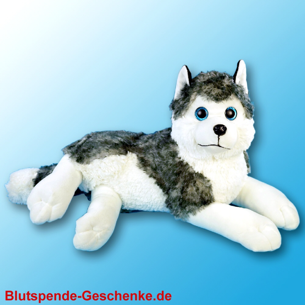 Pl&uuml;sch-Husky liegend
