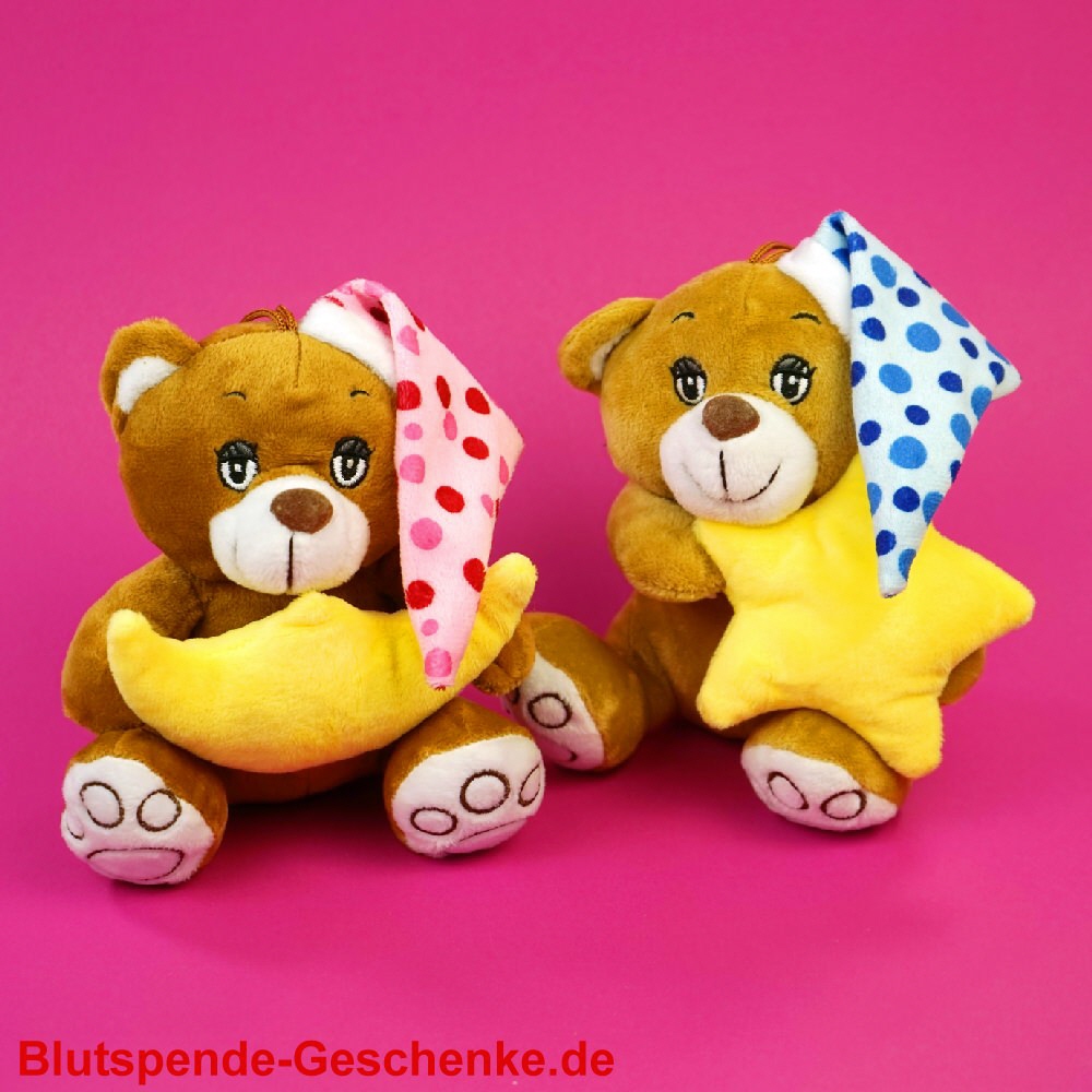 Pl&uuml;sch-B&auml;r mit Kissen