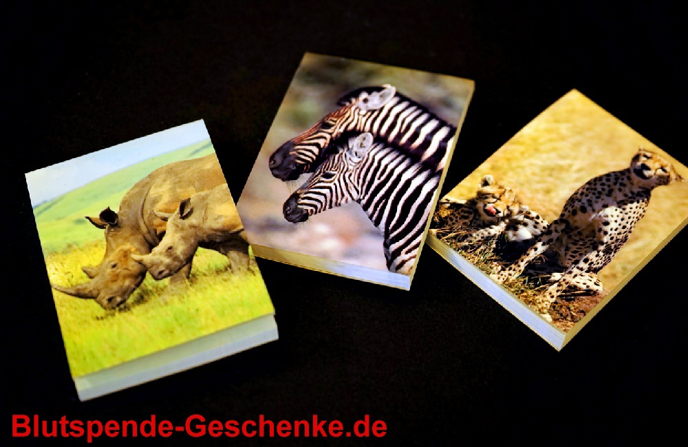 TreuePr&auml;sent Notizblock Wilde Tiere