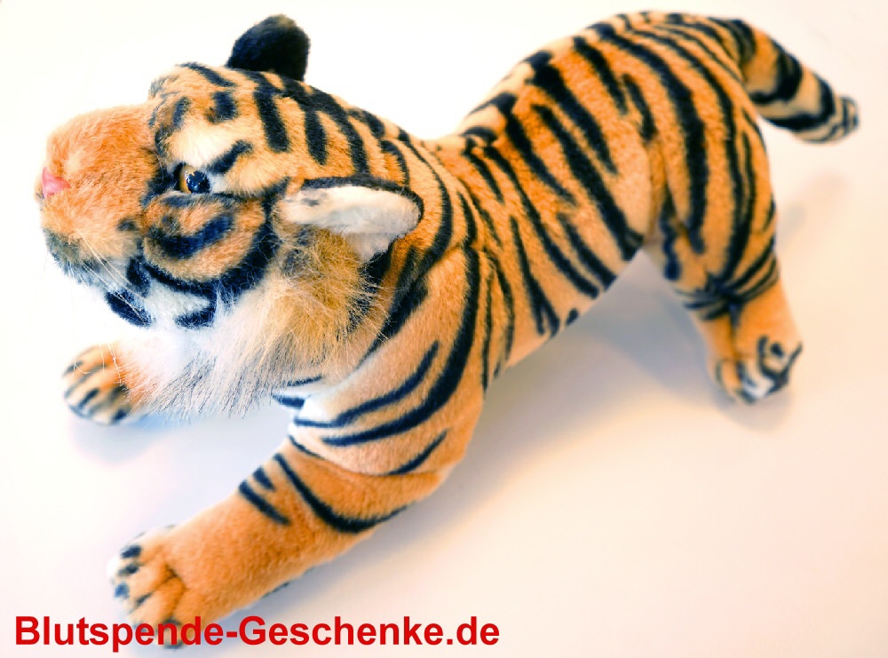 TreuePr&auml;sent Pl&uuml;schtiger 40 cm