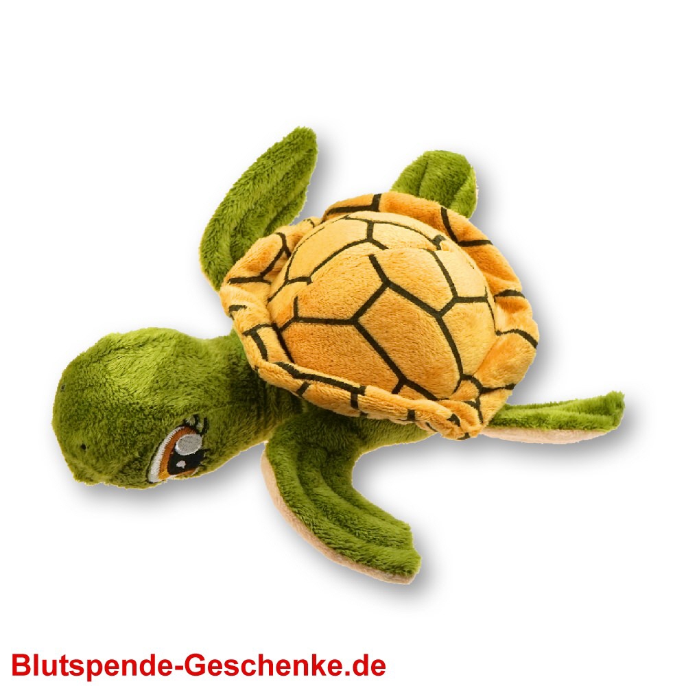 Blutspendegeschenk Baby-Schildkröte