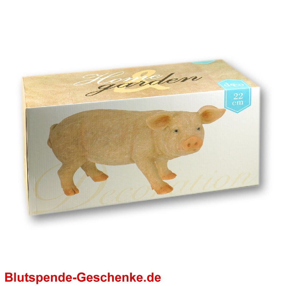 Blutspendegeschenk Deko-Schweinchen