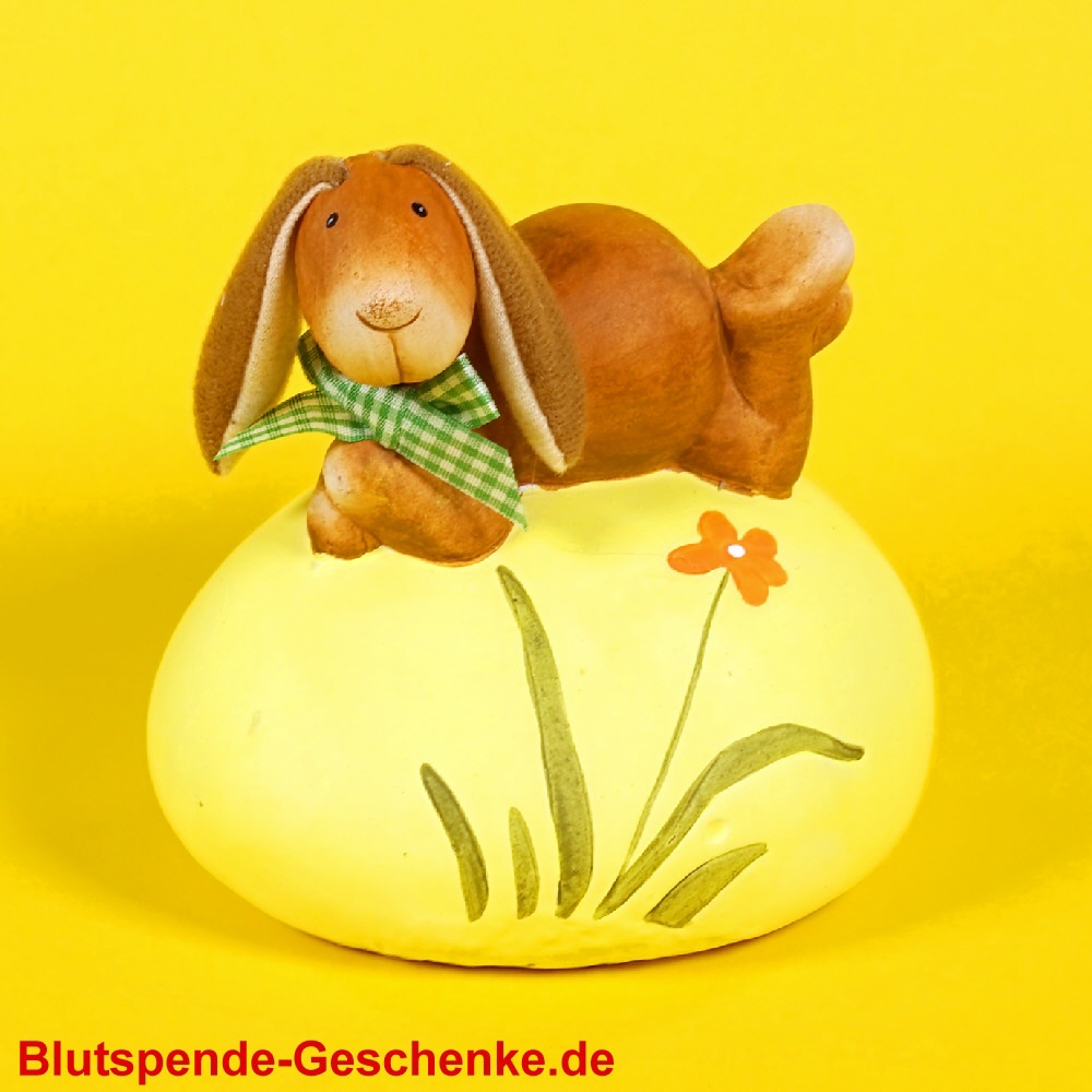 Blutspendegeschenk Hase auf Ei