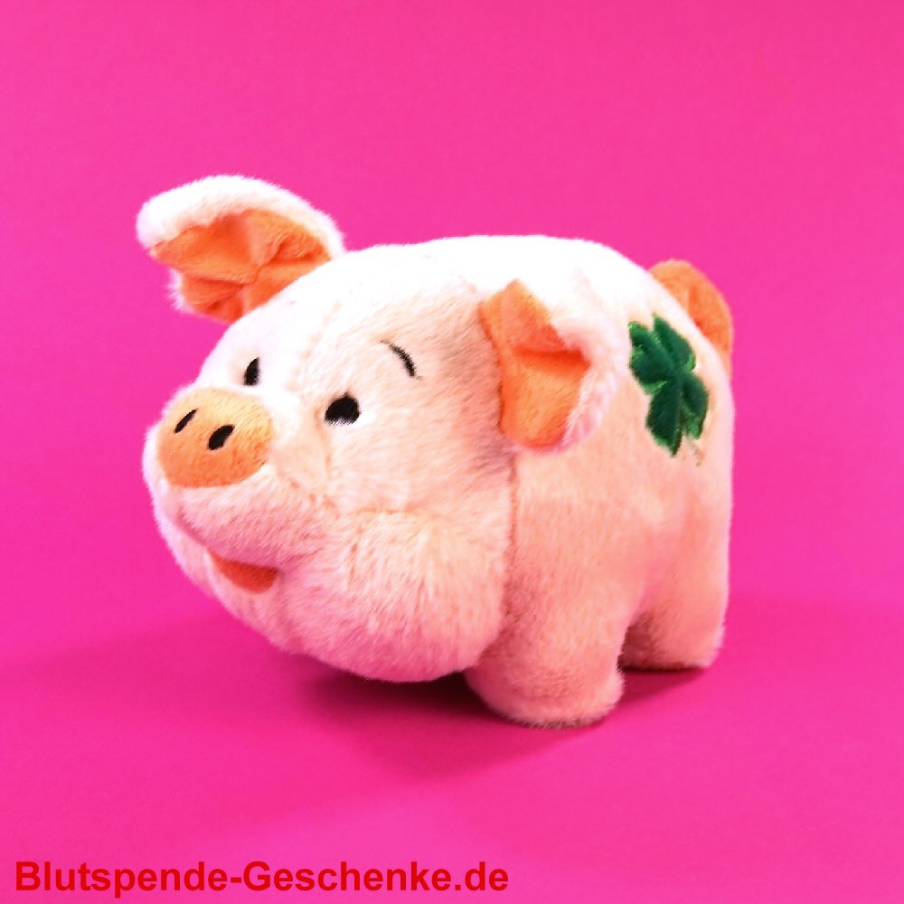 Blutspendegeschenk Pl&uuml;sch-Schweinchen