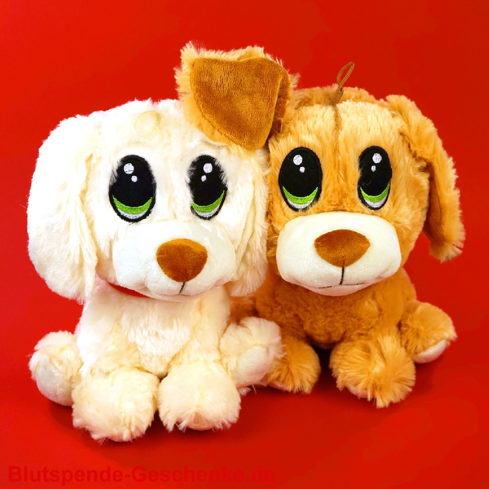 Blutspendegeschenk Pl&uuml;schhund 25 cm