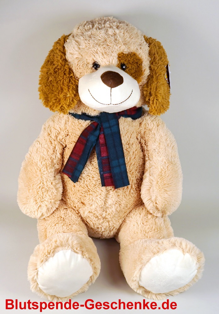 Blutspendegeschenk Pl&uuml;schhund 80 cm