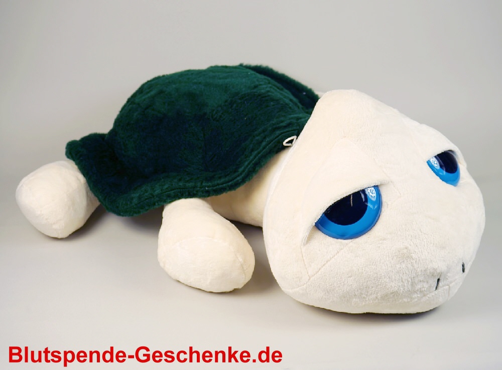 Blutspendegeschenk Schildkr&ouml;te aus Pl&uuml;sch 70 cm