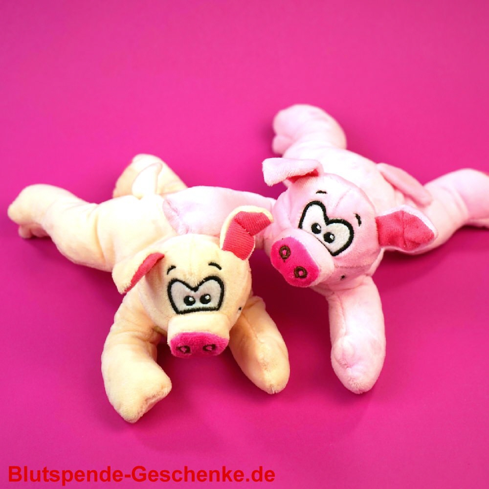 Blutspendegeschenk Schweinchen aus Pl&uuml;sch