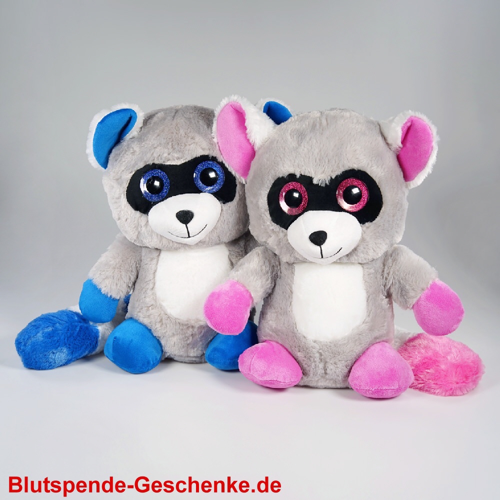 Blutspendegeschenk Pl&uuml;sch-Waschb&auml;ren