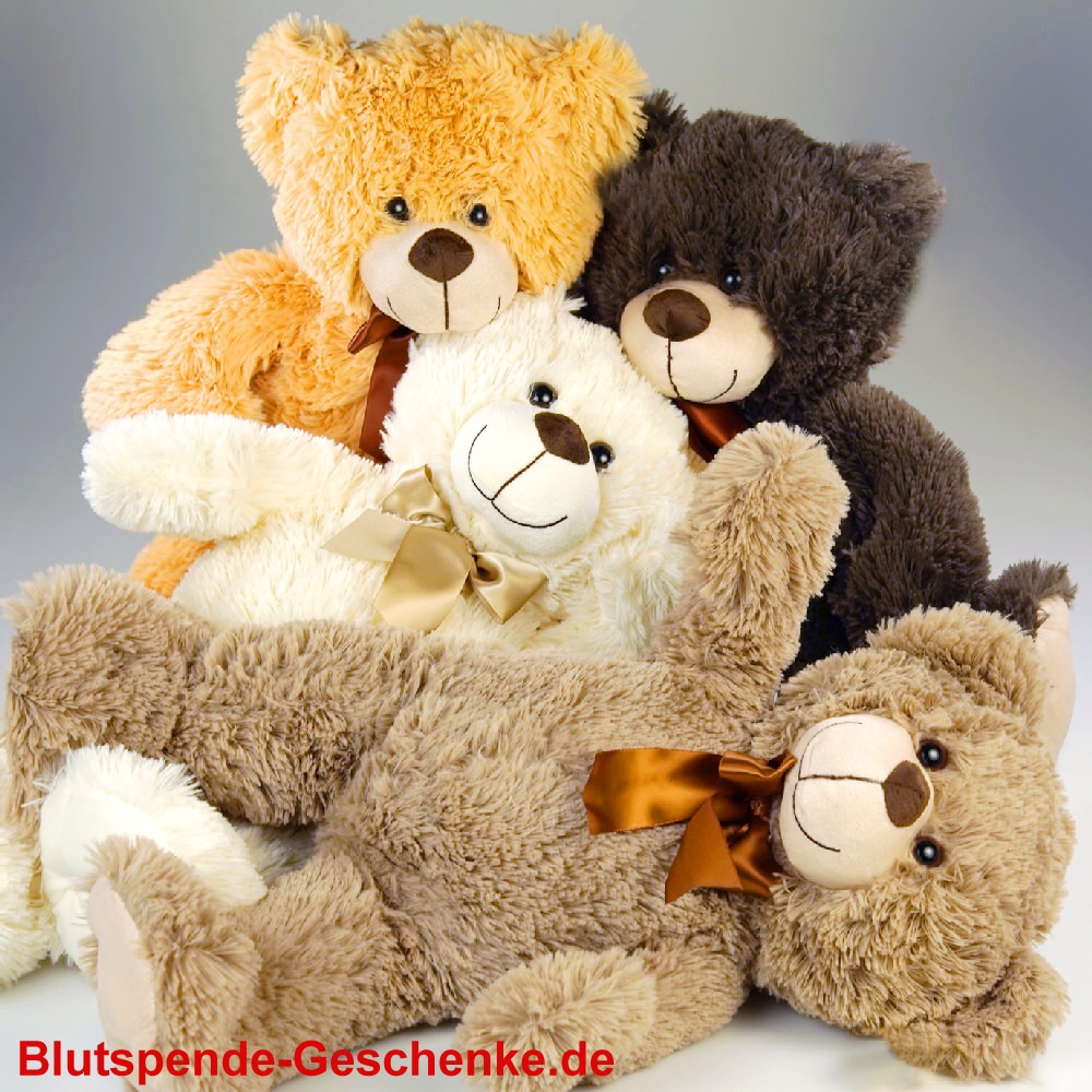 Blutspendegeschenk Pl&uuml;sch-B&auml;ren 54 cm
