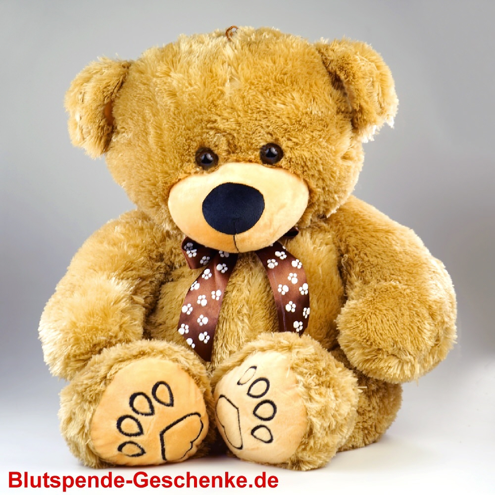 Blutspendegeschenk Pl&uuml;sch-B&auml;r sitzend