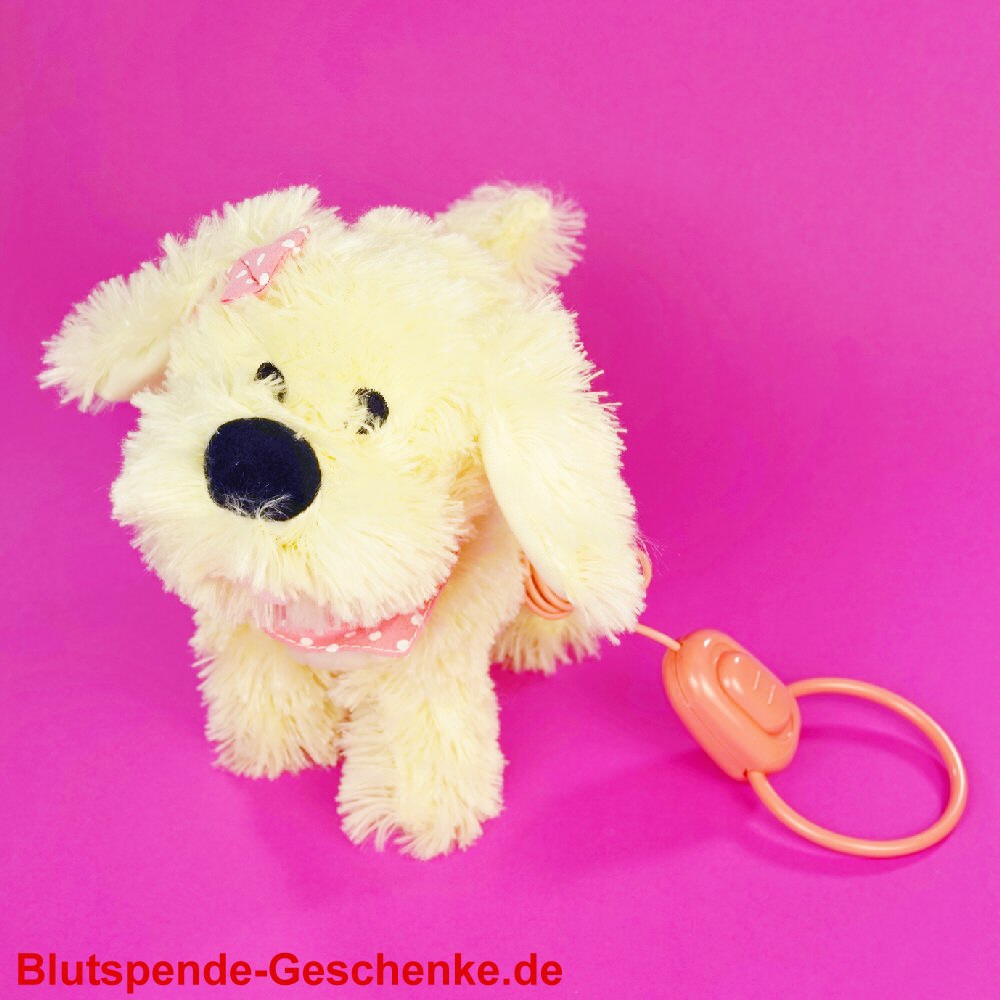 Blutspendegeschenk PlüschHund mit Fernbedienung