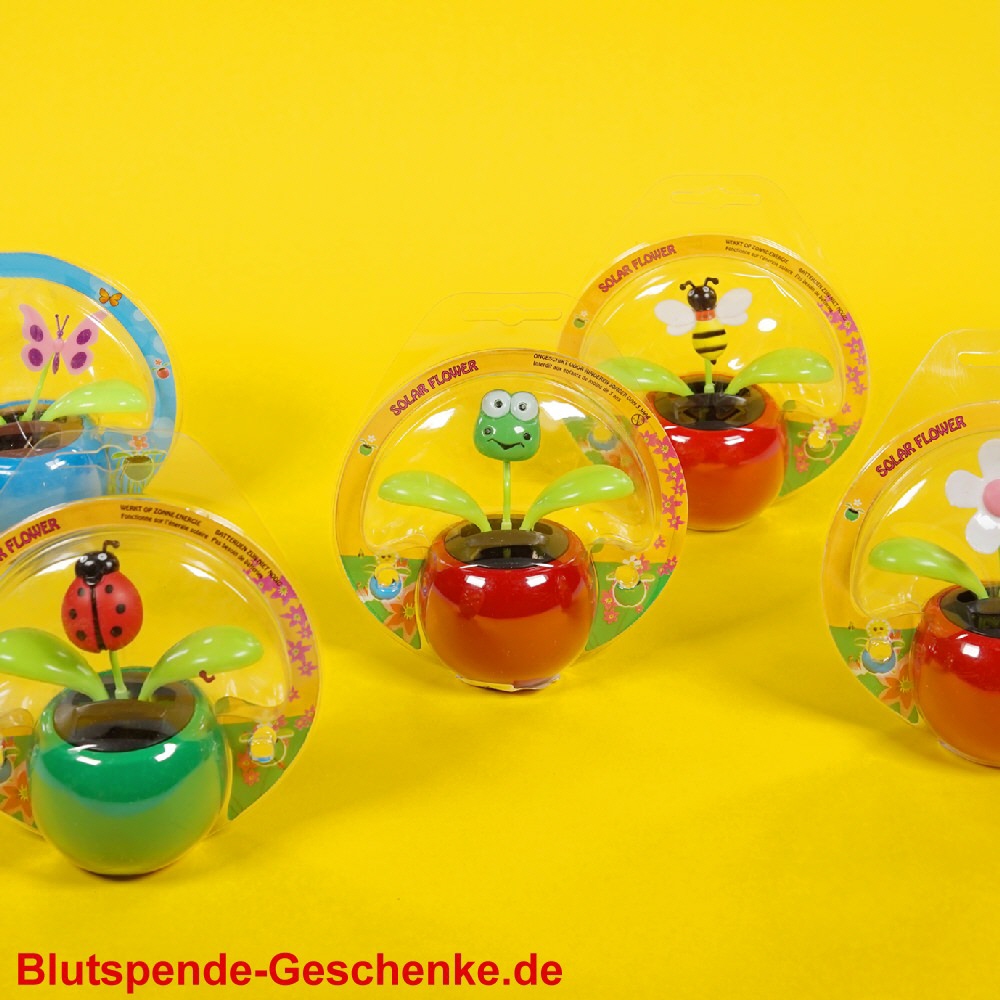 Blutspendegeschenk Solar-Wackel-Blumentopf