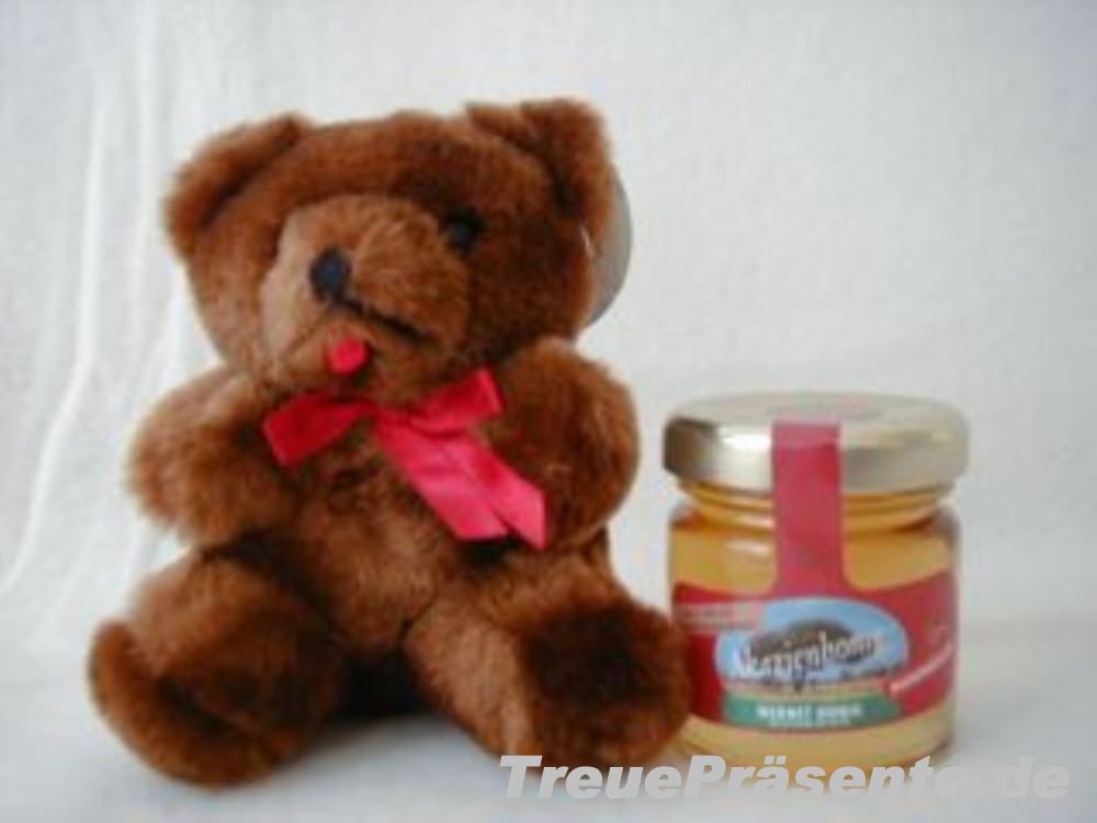 Honig mit Pl&uuml;schb&auml;r